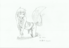 Holo the Wolf Harvest Goddess from Spice & Wolf